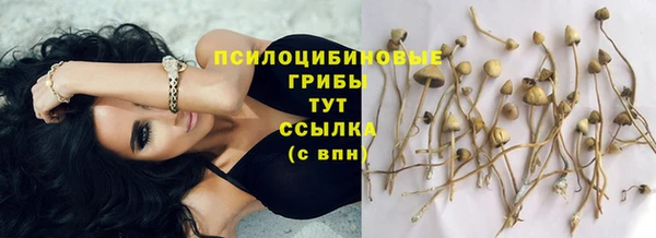 кокаин колумбия Богданович