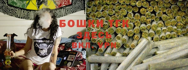 мет Инсар