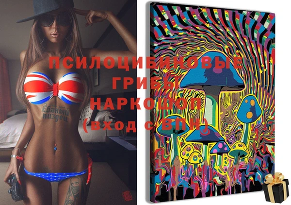 молекула духа Беломорск