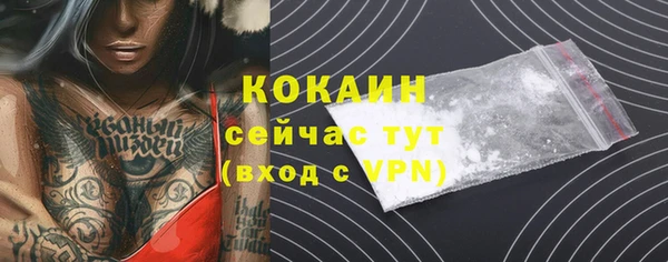 ГАЛЛЮЦИНОГЕННЫЕ ГРИБЫ Инта