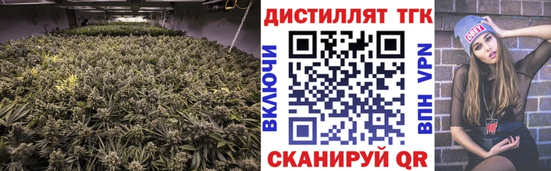 ТГК THC oil  даркнет официальный сайт  Балей 