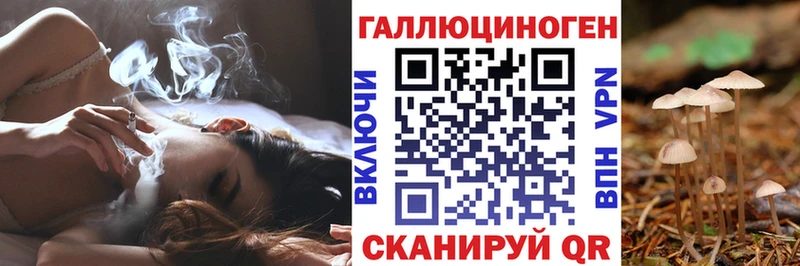 Псилоцибиновые грибы Cubensis  Балей 